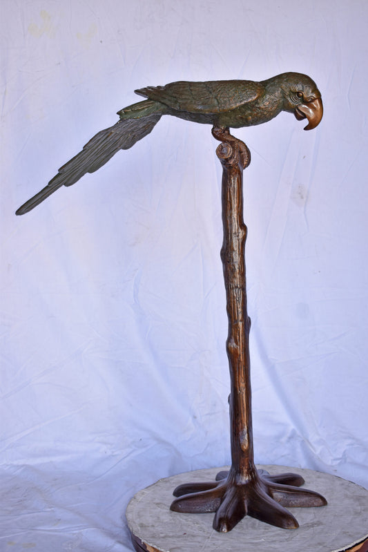 Parrot on a Tree Watching Forward Bronze Statue - Size: 36"L x 15"W x 41"H.