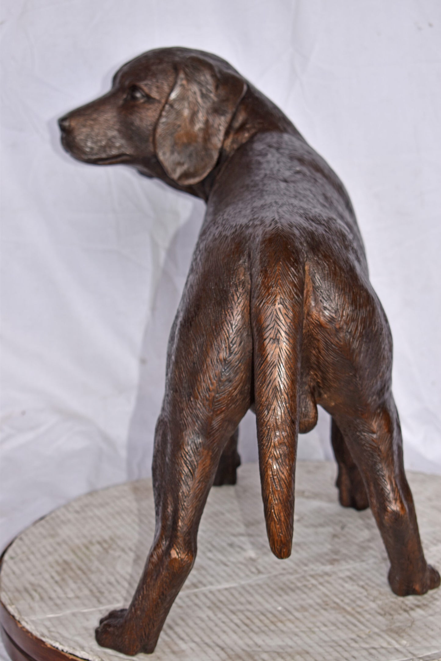 Beagle Dog Standing Made of Bronze, Statue - Size: 27"L x 14"W x 21"H.