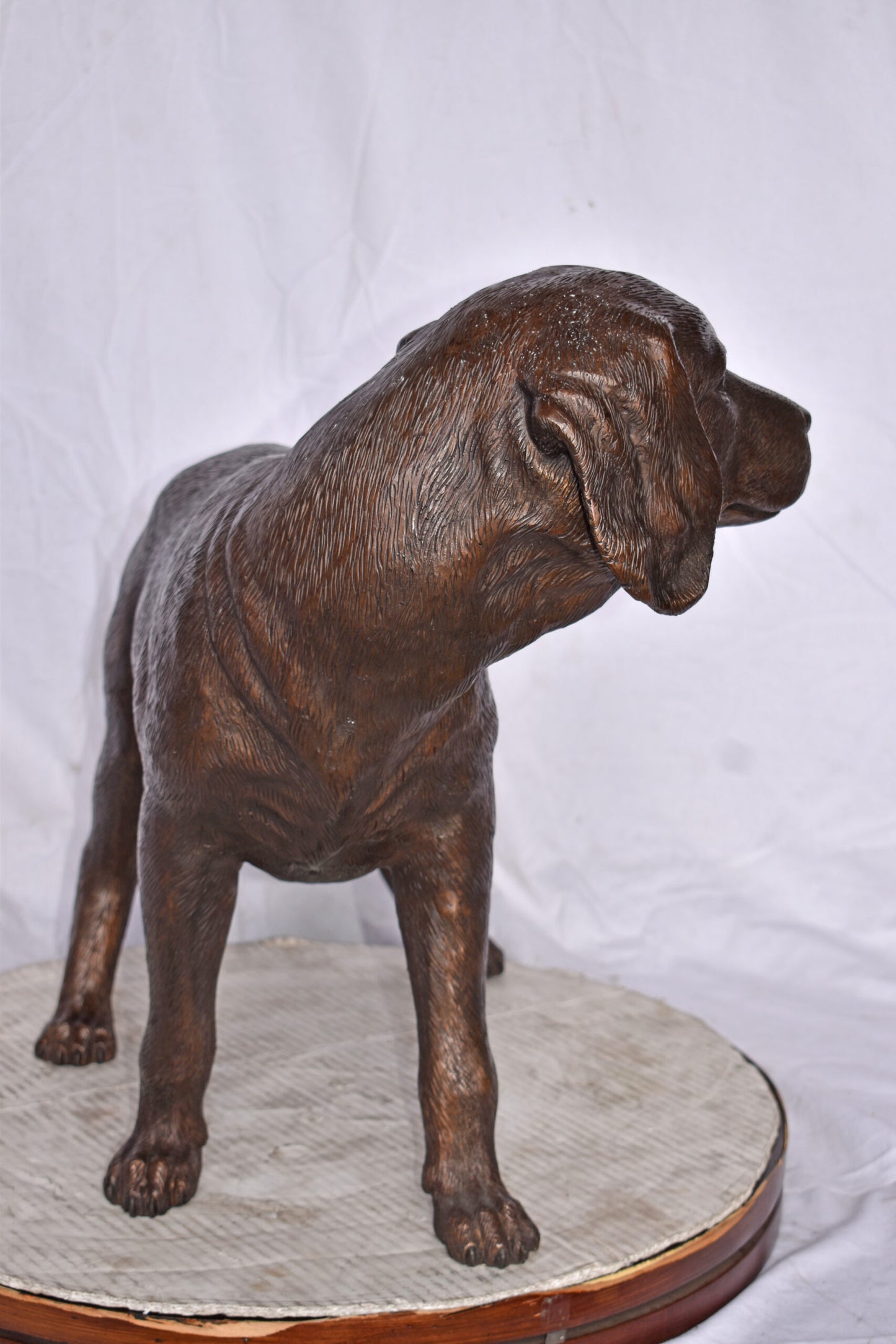 Beagle Dog Standing Made of Bronze, Statue - Size: 27"L x 14"W x 21"H.