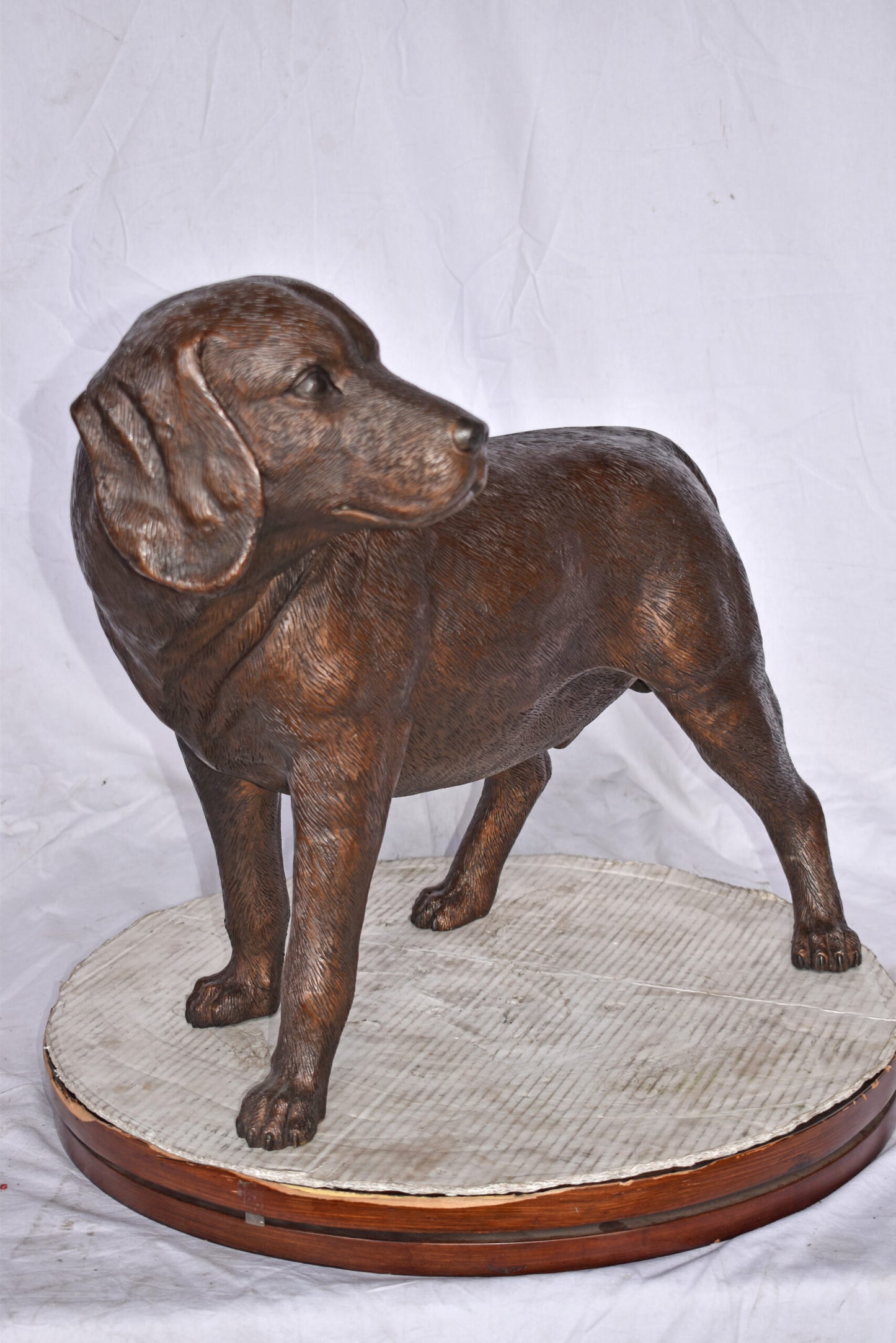 Beagle Dog Standing Made of Bronze, Statue - Size: 27"L x 14"W x 21"H.