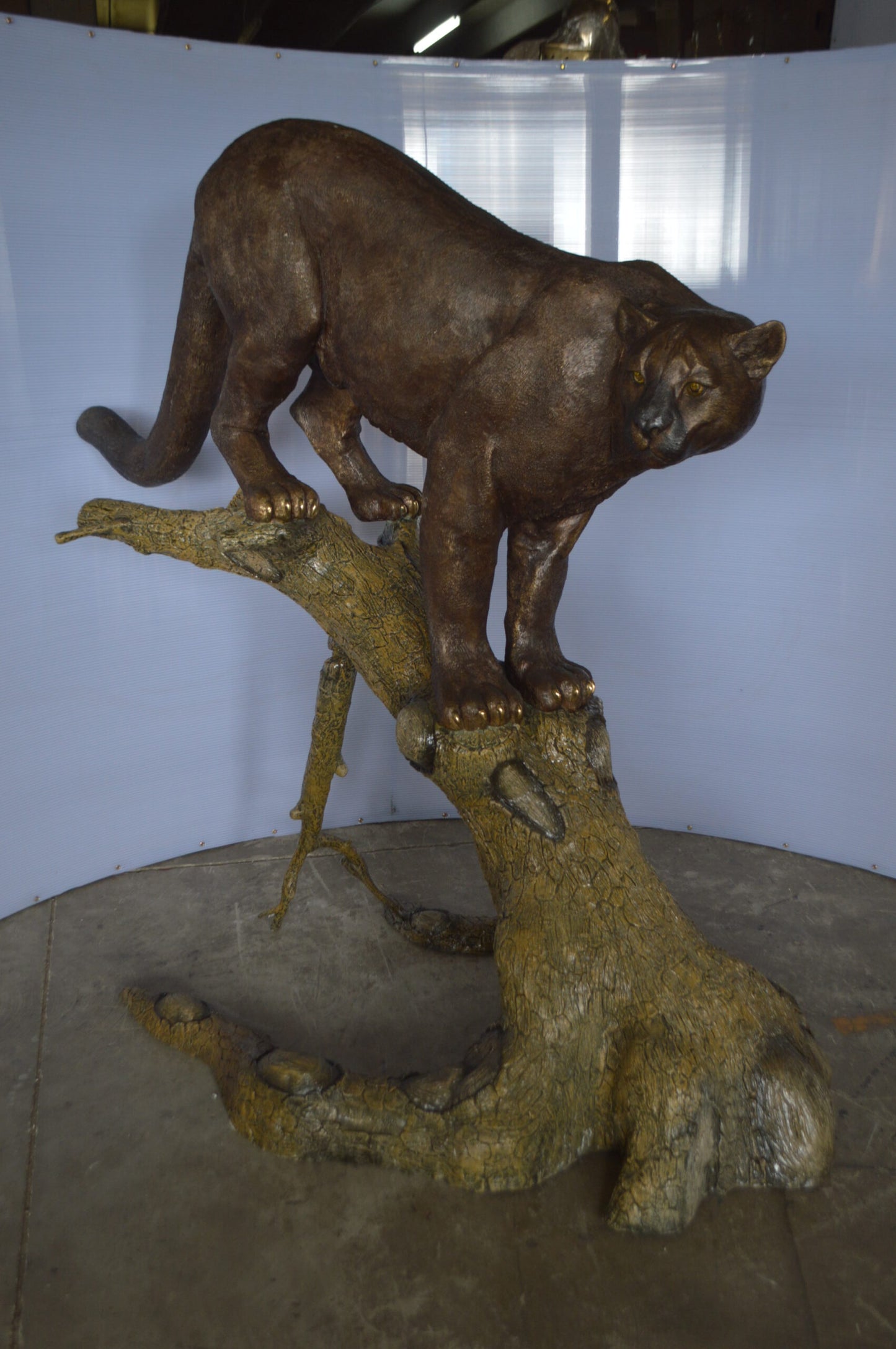 Mountain Lion Bronze Statue - Size: 73"L x 41"W x 65"H.