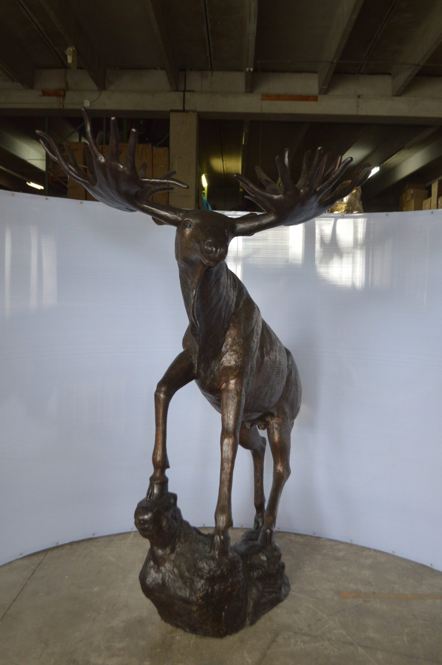 Moose - Life Size Bronze Statue - Size: 62"L x 48"W x 80"H.