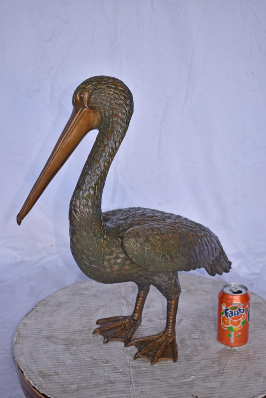 Pelican Standing and Looking Down Bronze Statue - Size: 20"L x 8"W x 22"H.