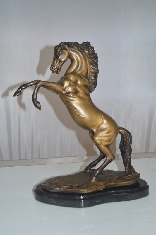 Rearing Horse - medium Bronze Statue -  Size: 11"L x 6"W x 14"H.