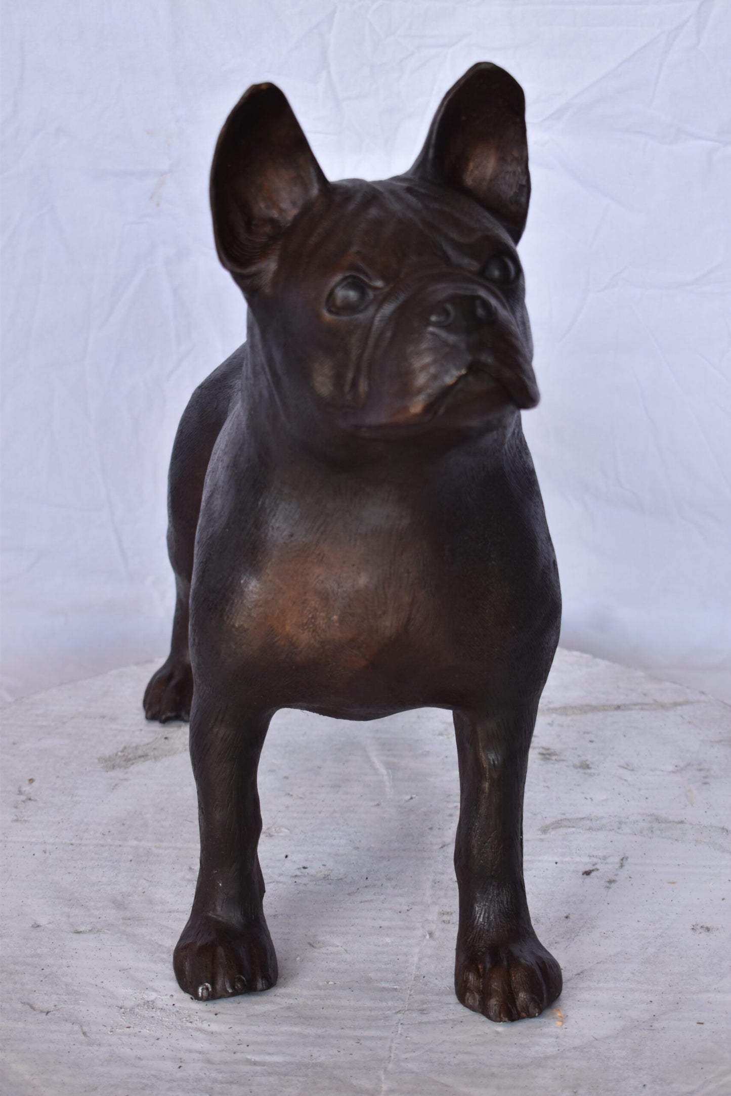 French Bulldog Standing Made of Bronze Statue - Size: 9"L x 20"W x 18"H.