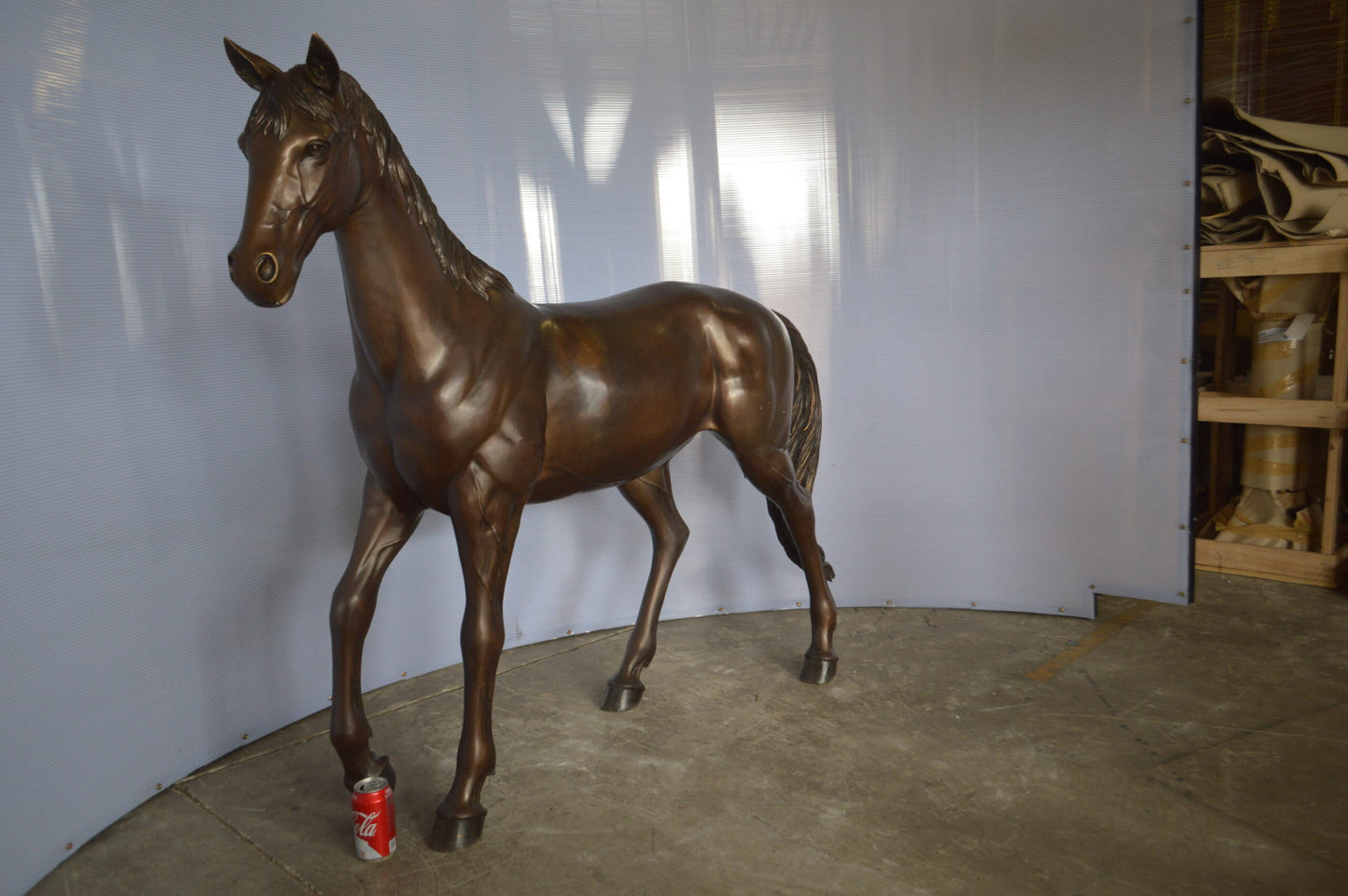 Standing horse - large Bronze Statue - Size: 58"L x 16"W x 50"H.