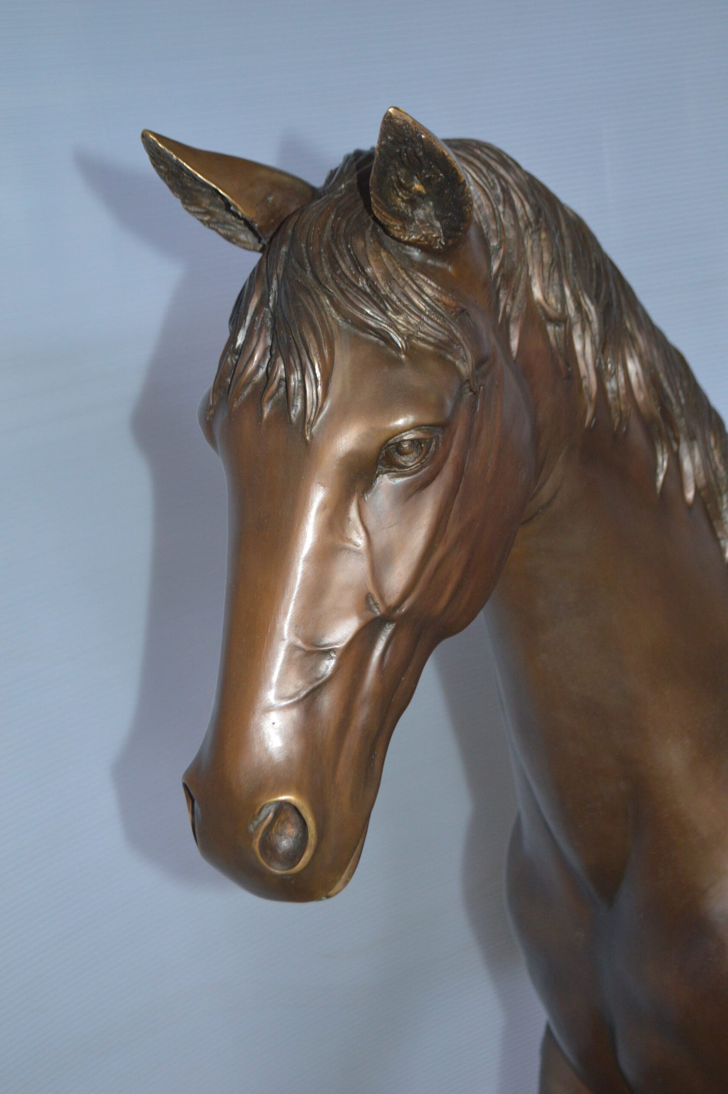 Standing horse - large Bronze Statue - Size: 58"L x 16"W x 50"H.