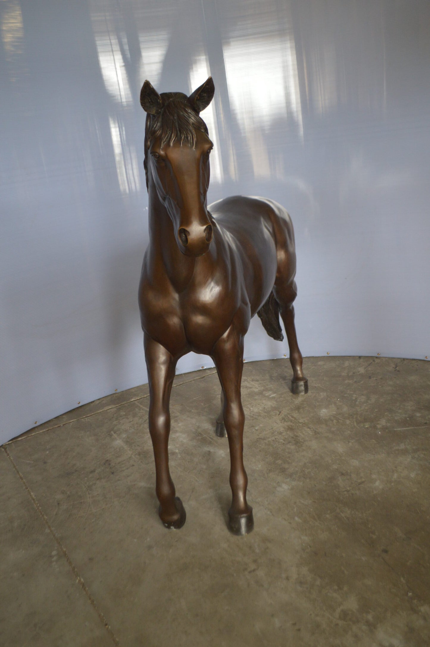 Standing horse - large Bronze Statue - Size: 58"L x 16"W x 50"H.