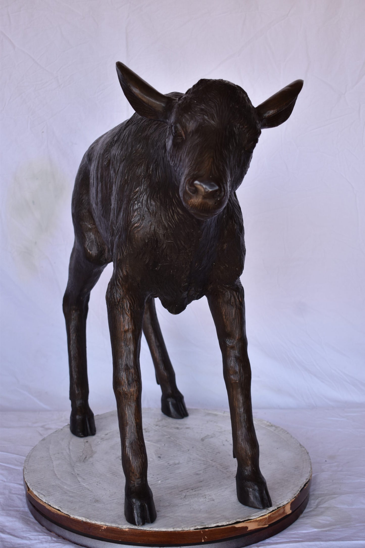 Bison Calf Lifesize Bronze Statue - Size: 37"L x 15"W x 32"H.