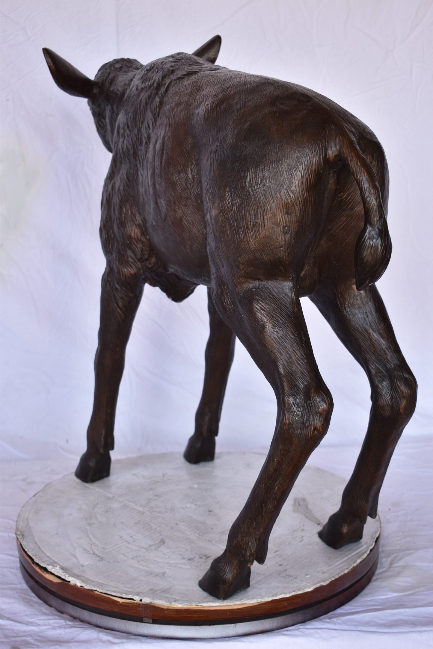 Bison Calf Lifesize Bronze Statue - Size: 37"L x 15"W x 32"H.