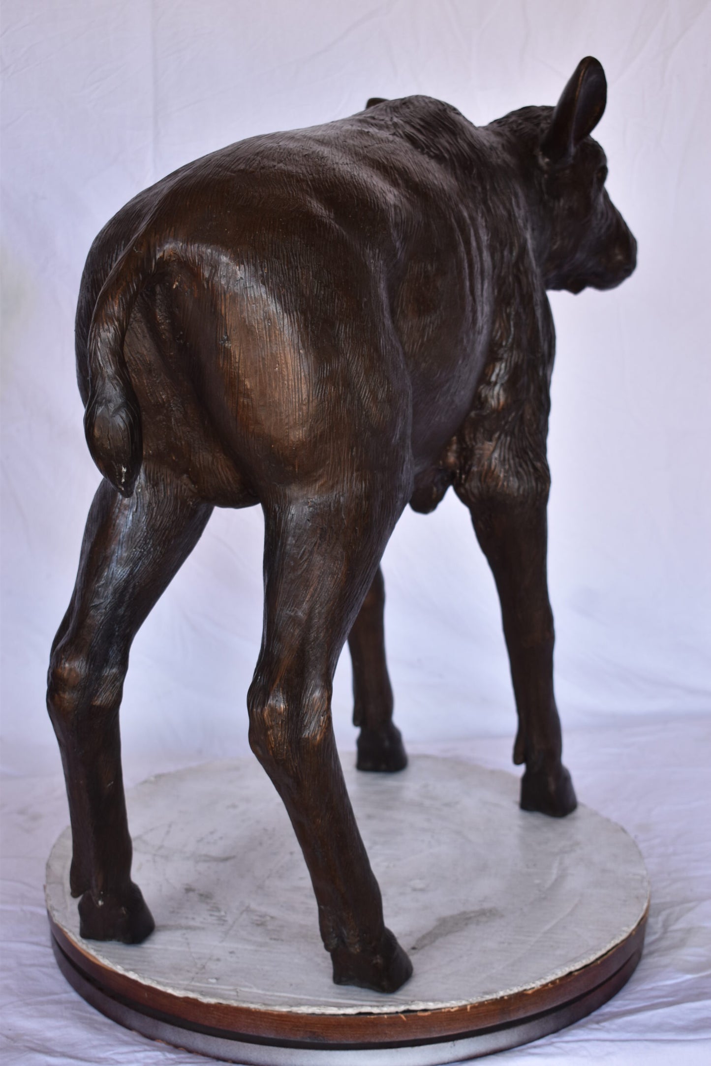 Bison Calf Lifesize Bronze Statue - Size: 37"L x 15"W x 32"H.