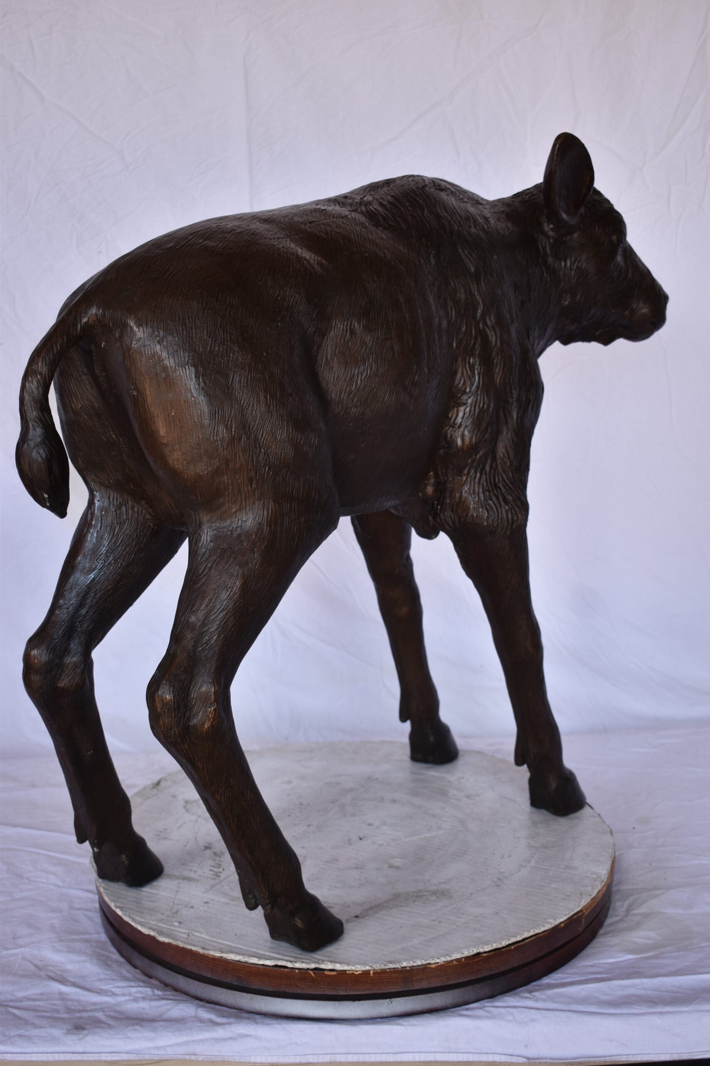 Bison Calf Lifesize Bronze Statue - Size: 37"L x 15"W x 32"H.