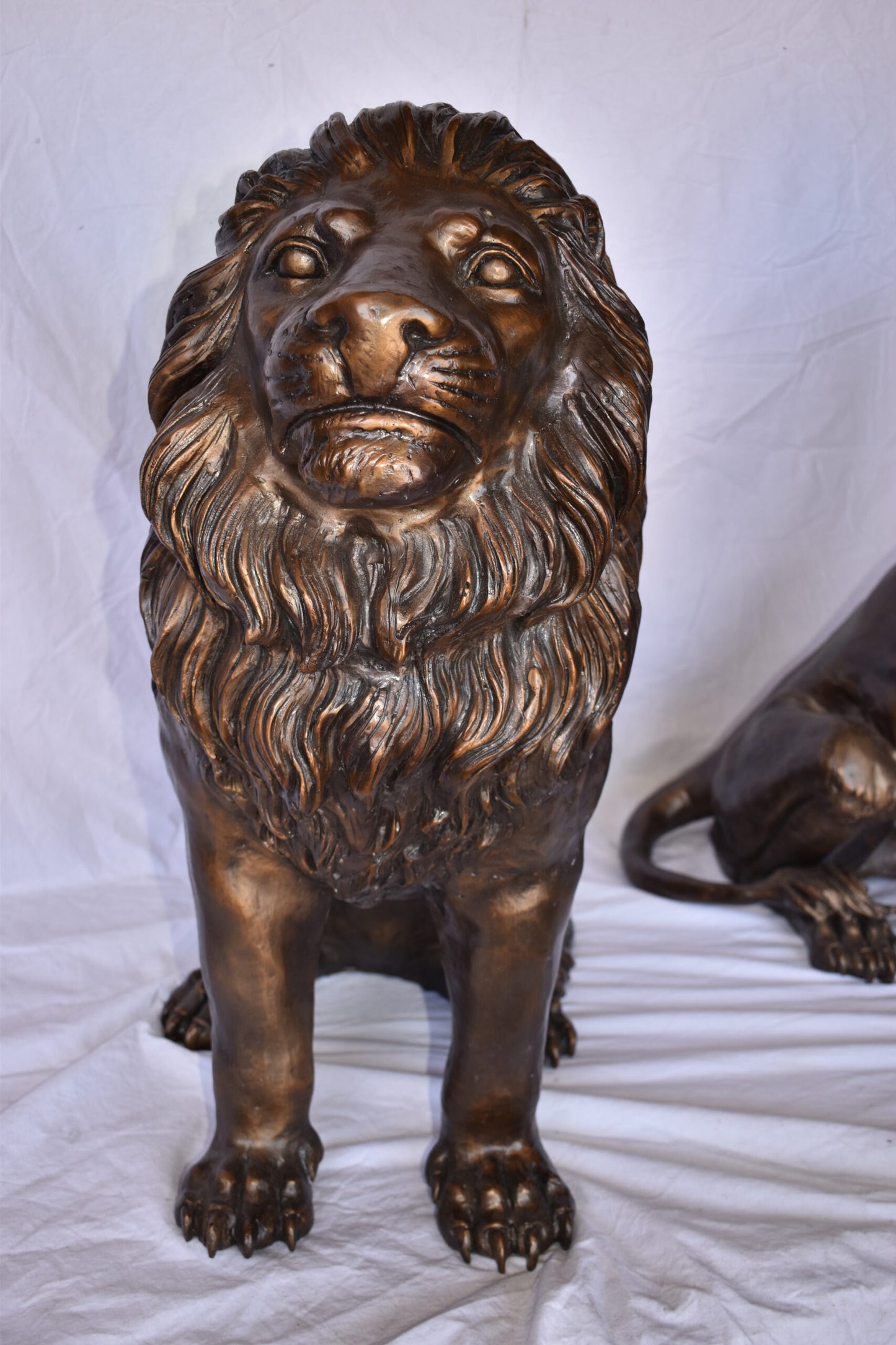 A Pair of Lions Sitting on The Ground Bronze Statues Size: 14" x 27" x 29"H