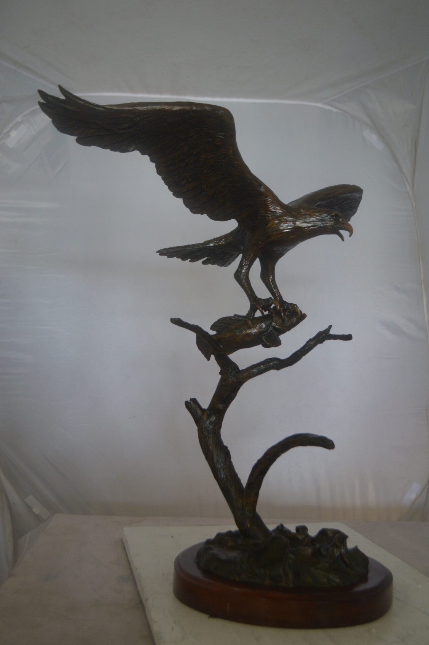 Osprey Eagle Bronze Statue by Carl Wagner  -  Size: 28"L x 14"W x 28"H.