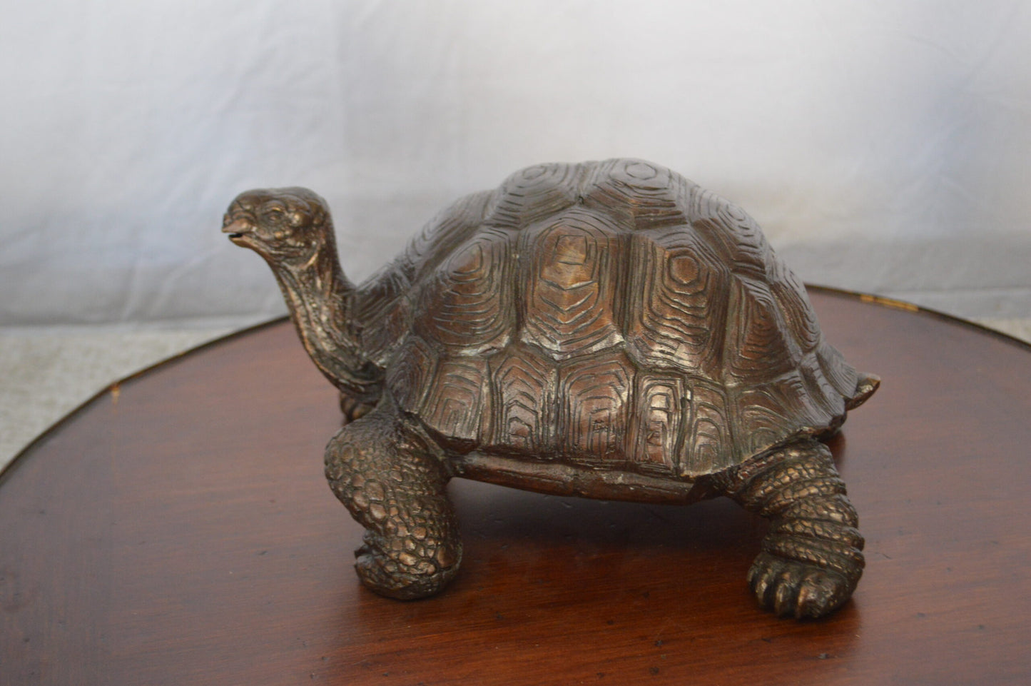 Turtle Bronze Statue -  Size: 8"L x 12"W x 7"H.