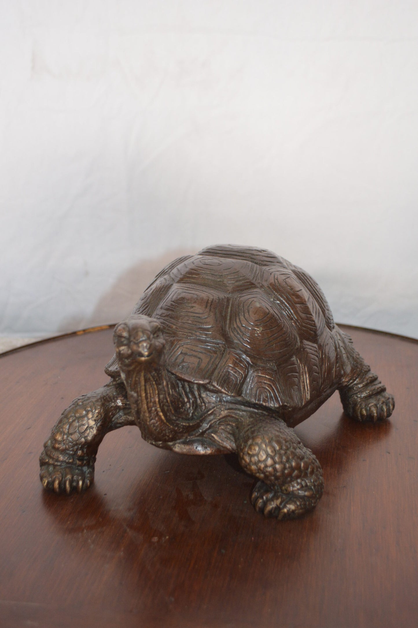 Turtle Bronze Statue -  Size: 8"L x 12"W x 7"H.