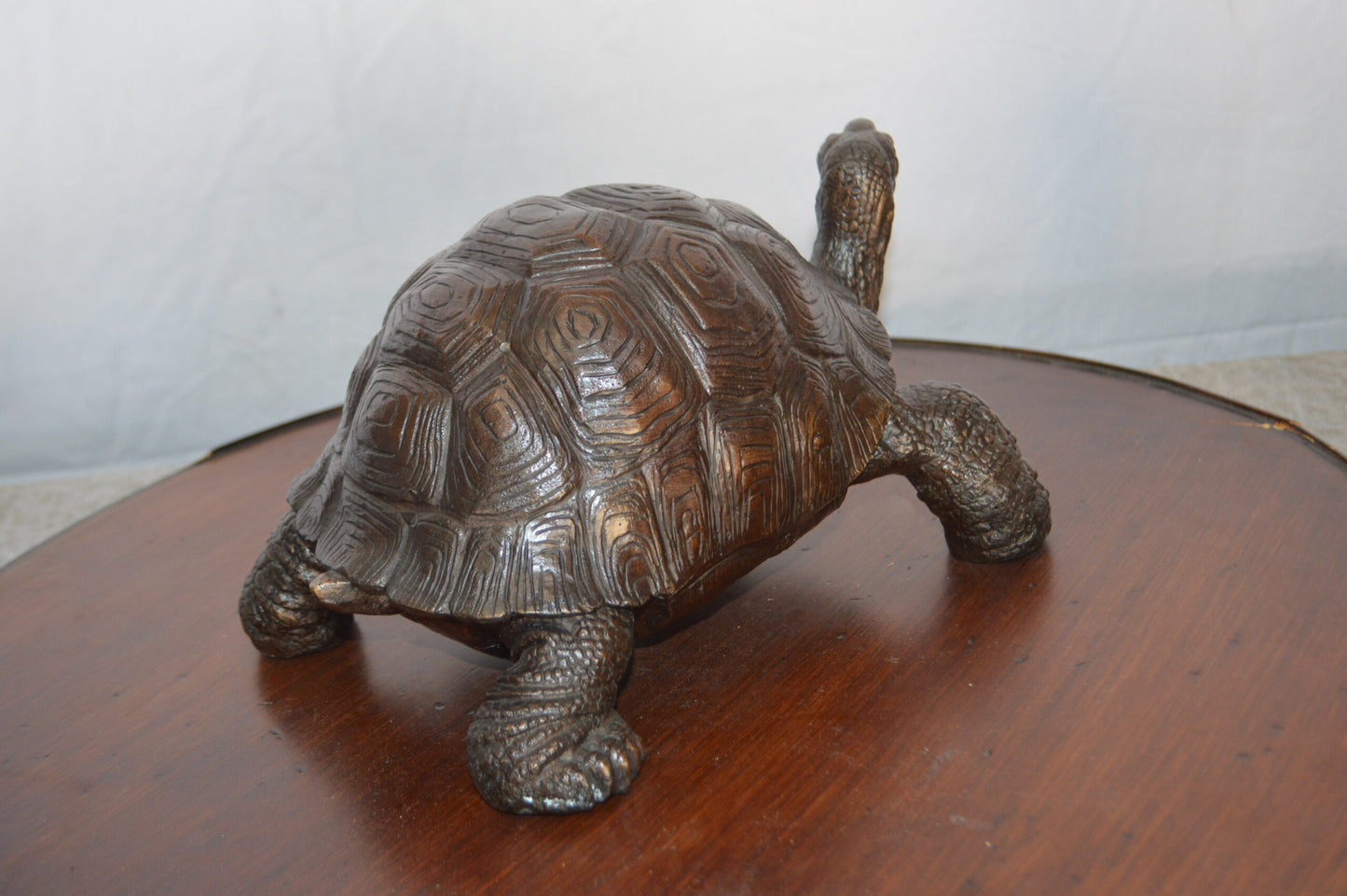 Turtle Bronze Statue -  Size: 8"L x 12"W x 7"H.