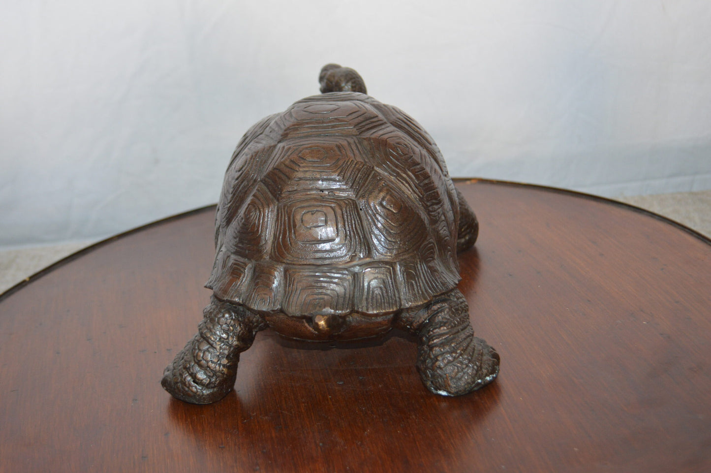 Turtle Bronze Statue -  Size: 8"L x 12"W x 7"H.