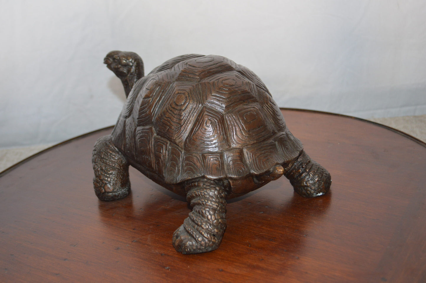 Turtle Bronze Statue -  Size: 8"L x 12"W x 7"H.