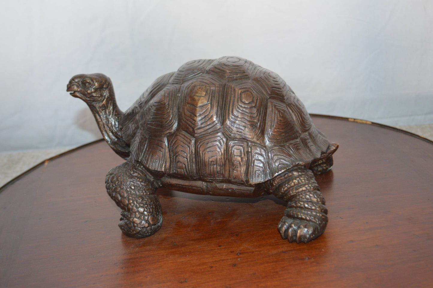 Turtle Bronze Statue -  Size: 8"L x 12"W x 7"H.
