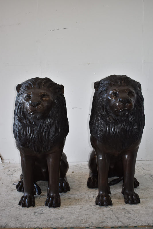 A Pair of Large Lions Sitting Side by Side Bronze Statues Size: 23" x 33" x 46"H