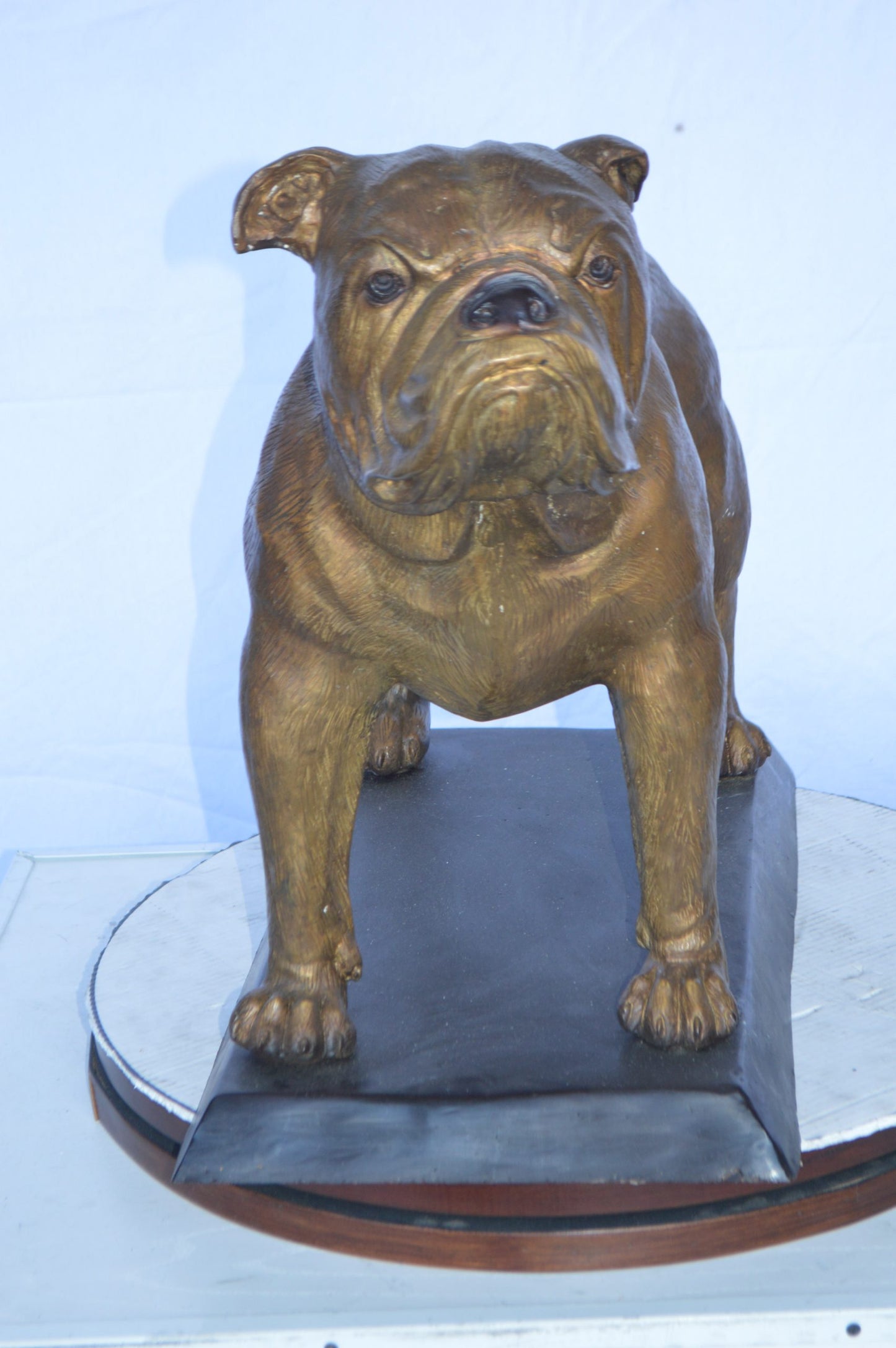 Bulldog Bronze Statue Mounted on a Base -  Size: 32"L x 10"W x 21"H.