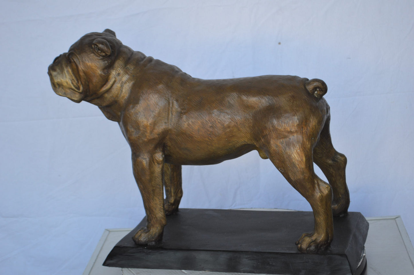 Bulldog Bronze Statue Mounted on a Base -  Size: 32"L x 10"W x 21"H.