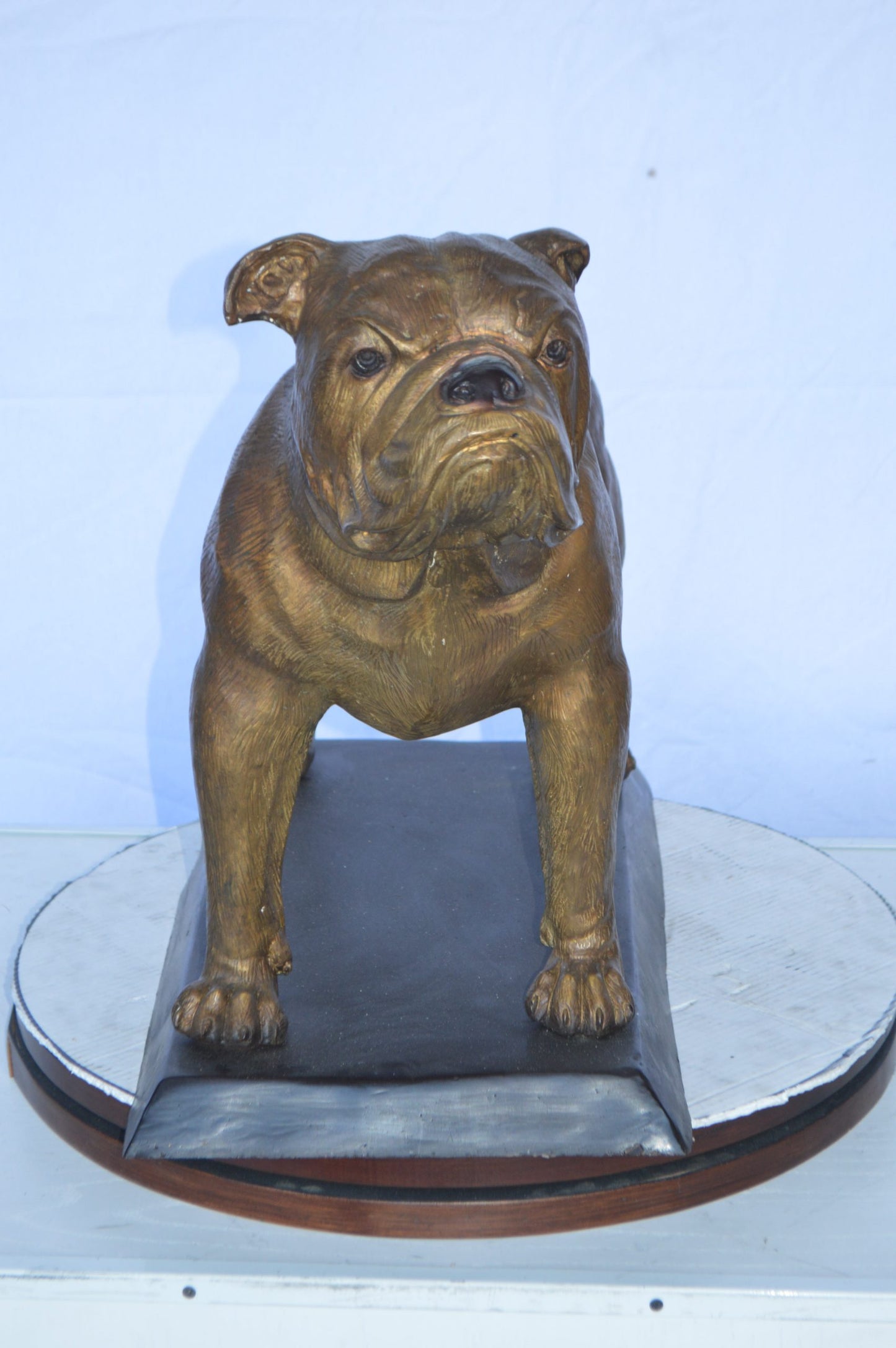Bulldog Bronze Statue Mounted on a Base -  Size: 32"L x 10"W x 21"H.