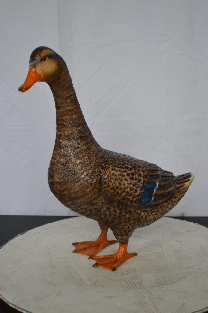 Duck Standing Bronze Statue -  Size: 19"L x 7"W x 21"H.