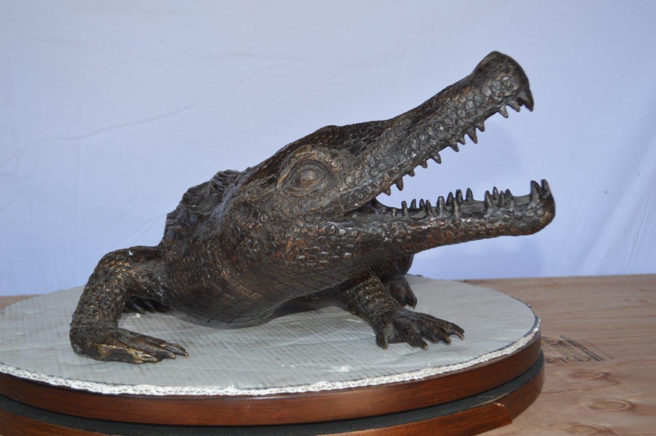Alligator ready to attack bronze statue -  Size: 36"L x 18"W x 10"H.
