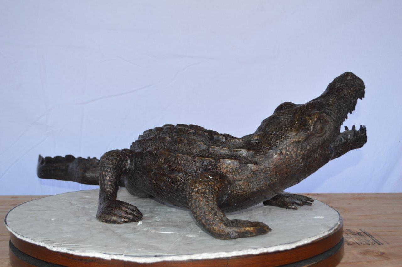 Alligator ready to attack bronze statue -  Size: 36"L x 18"W x 10"H.