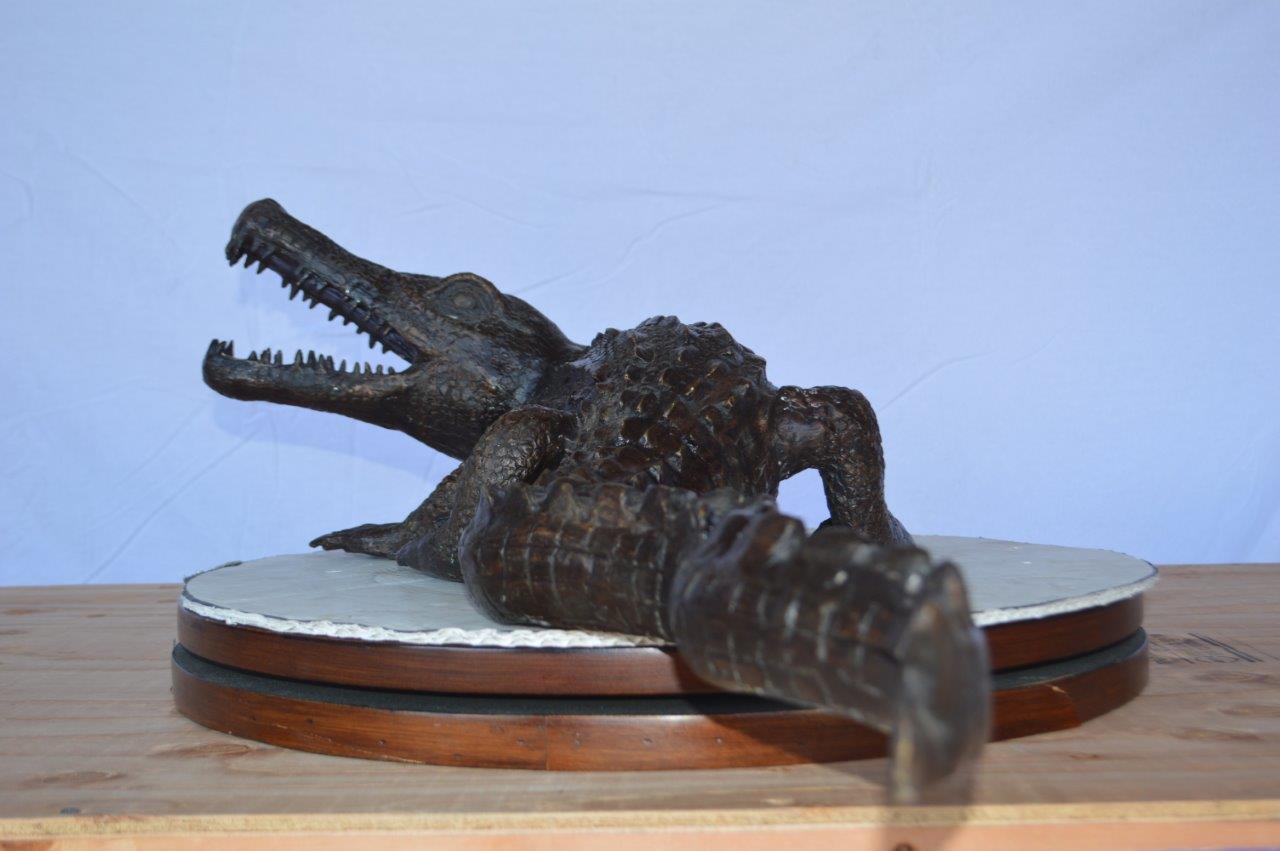 Alligator ready to attack bronze statue -  Size: 36"L x 18"W x 10"H.