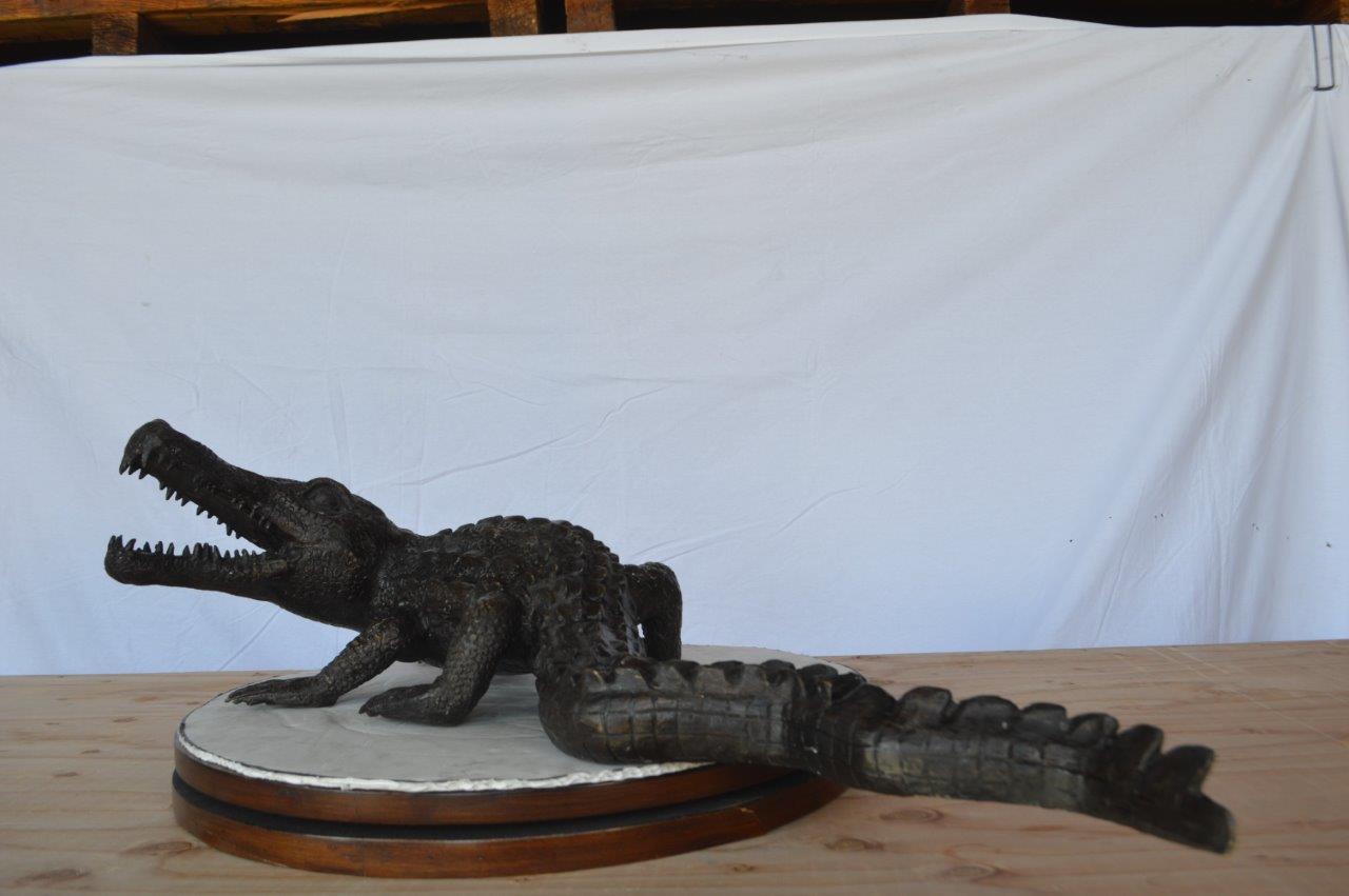 Alligator ready to attack bronze statue -  Size: 36"L x 18"W x 10"H.