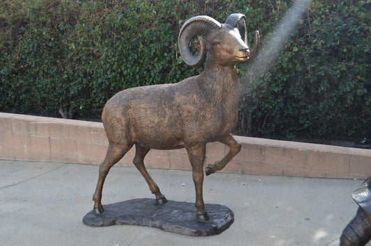 Big horn sheep giant bronze statue -  Size: 45"L x 22"W x 61"H.