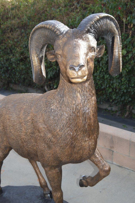 Big horn sheep giant bronze statue - Size: 45"L x 22"W x 61"H.