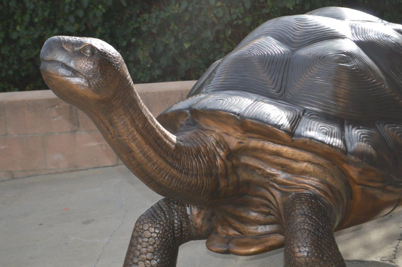 Giant Tortoise - Turtle bronze statue -  Size: 64"L x 36"W x 36"H.