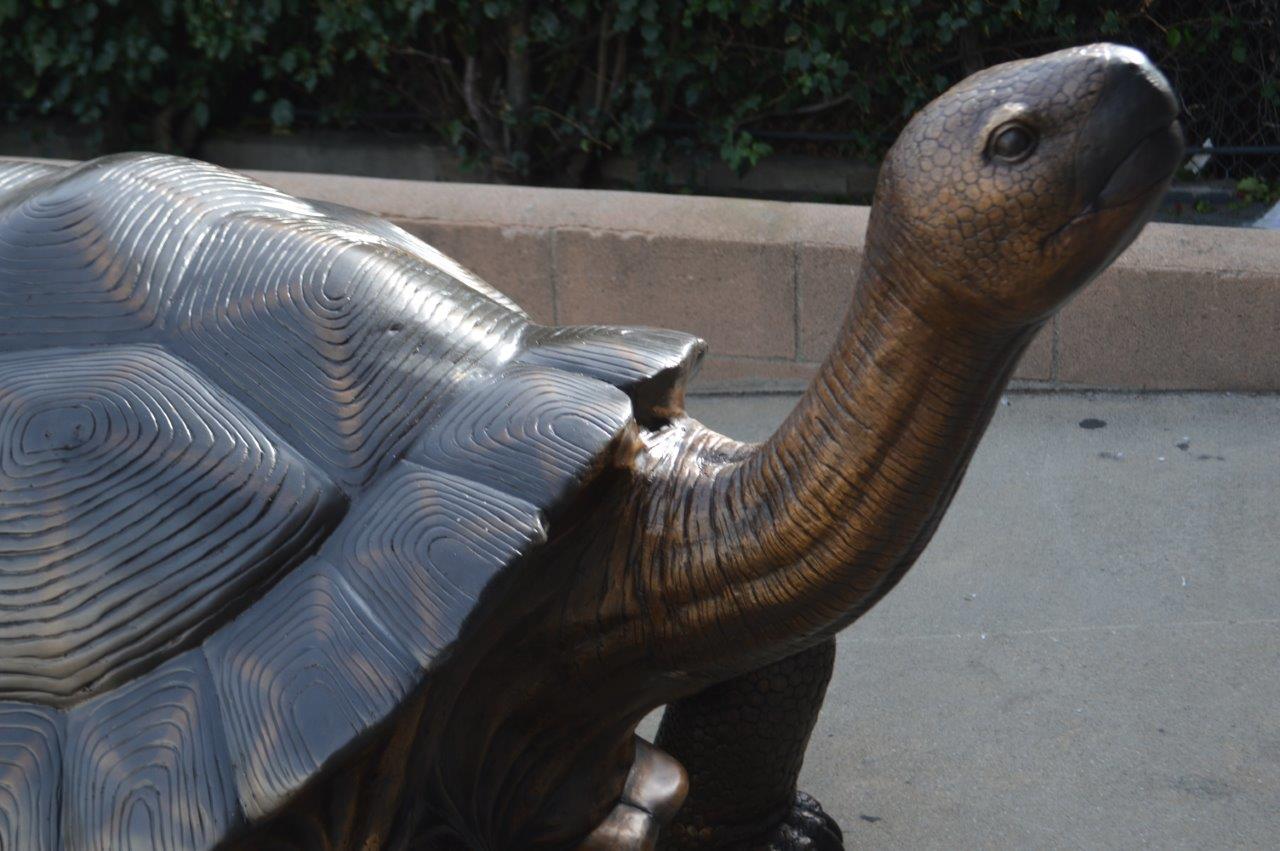 Giant Tortoise - Turtle bronze statue -  Size: 64"L x 36"W x 36"H.
