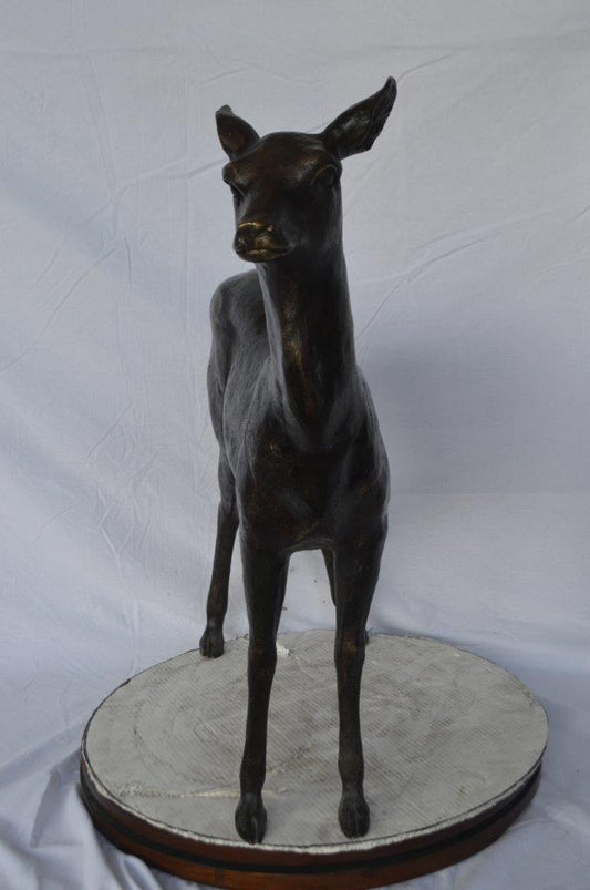 Doe - baby deer bronze statue -  Size: 30"L x 8"W x 30"H.