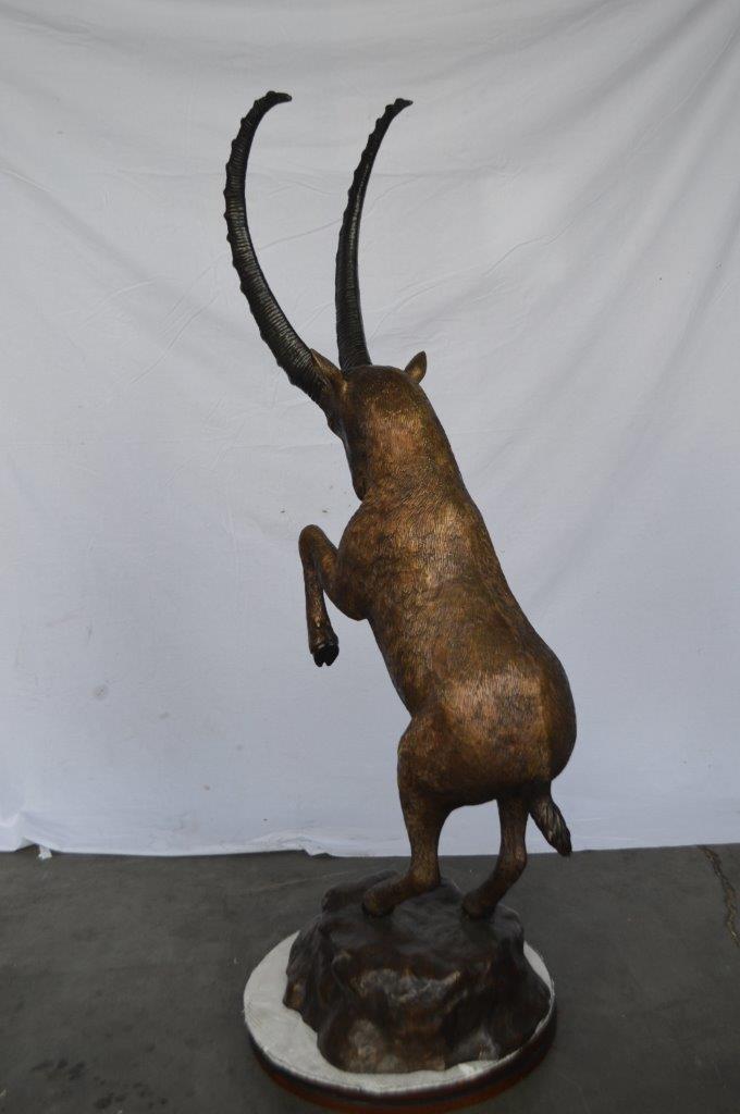 Mountain goat on hind legs bronze statue - Size: 36"L x 16"W x 66"H.