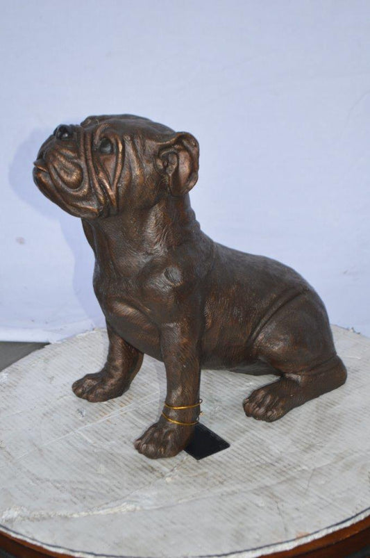 Beautiful bulldog bronze statue - Size: 16"L x 7"W x 16"H.