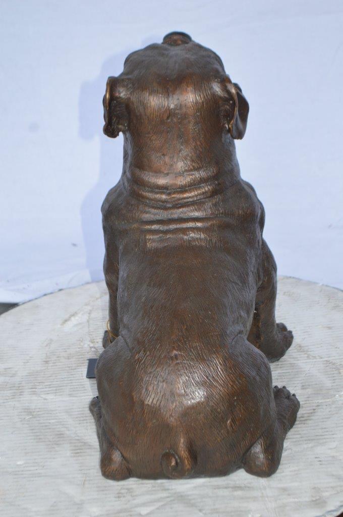 Beautiful bulldog bronze statue -  Size: 16"L x 7"W x 16"H.