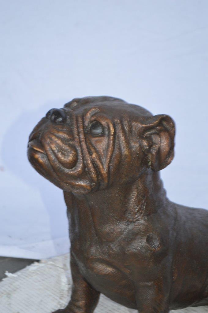 Beautiful bulldog bronze statue - Size: 16"L x 7"W x 16"H.