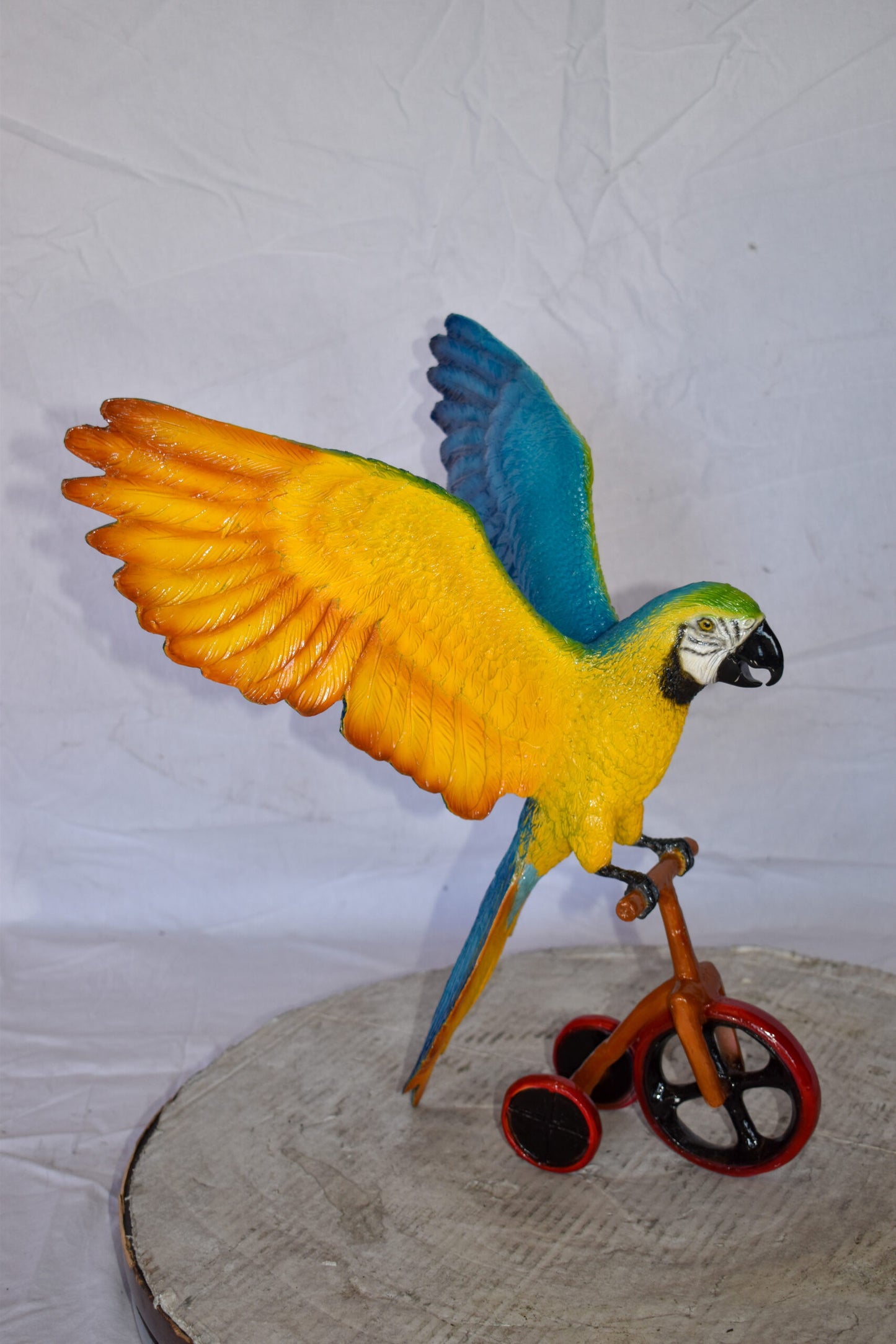 Colorful Parrot Riding a Tricycle Bronze Statue Size: 17" x 11" x 19"H