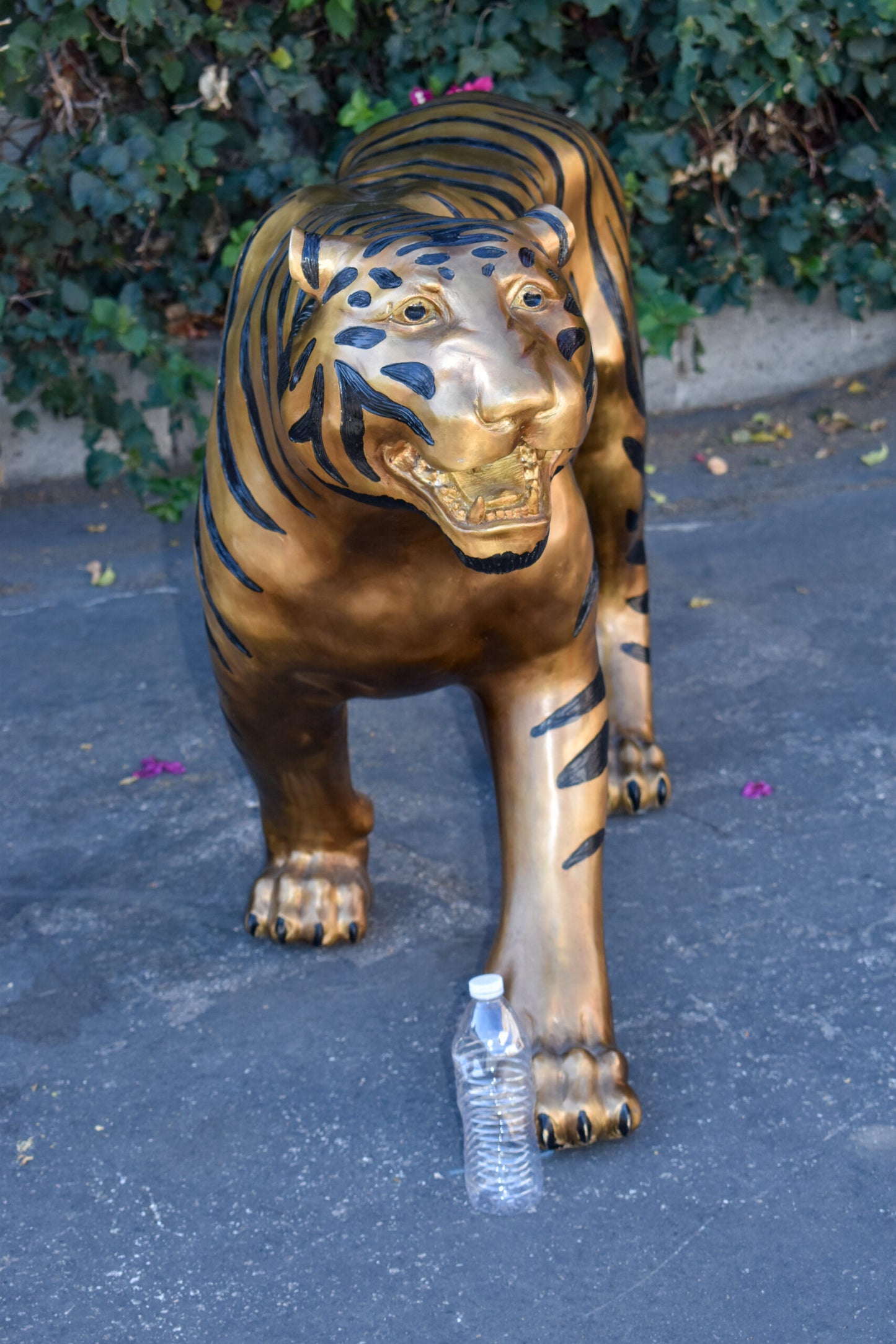 Tiger Bronze Statue with Black and Black and Gold Finish Size: 80" x 15" x 34"H