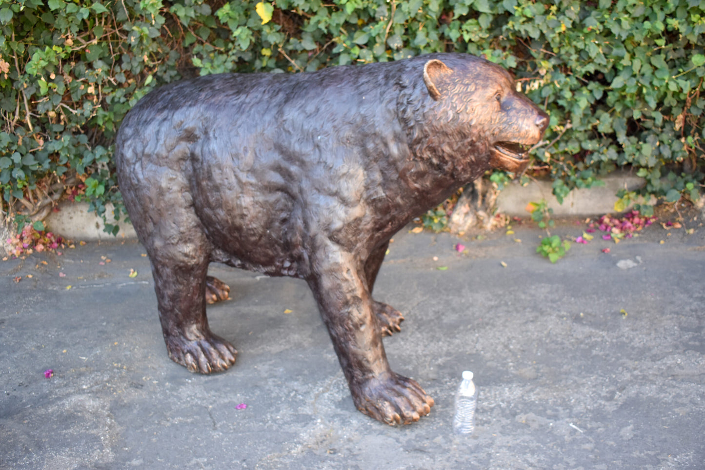 Giant Mama Bear Walking on Four Legs Bronze Statue Size: 64" x 26" x 43"H