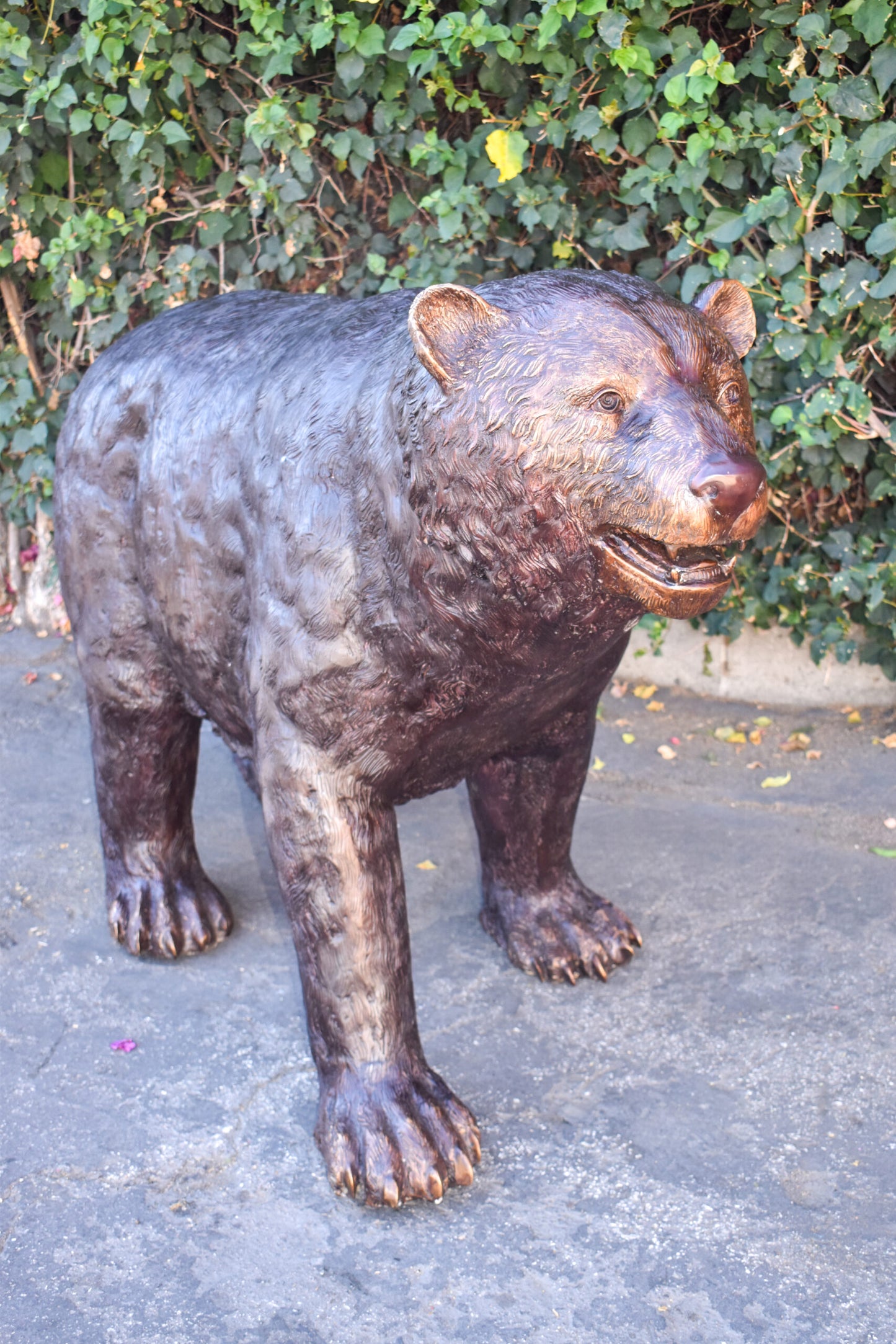 Giant Mama Bear Walking on Four Legs Bronze Statue Size: 64" x 26" x 43"H