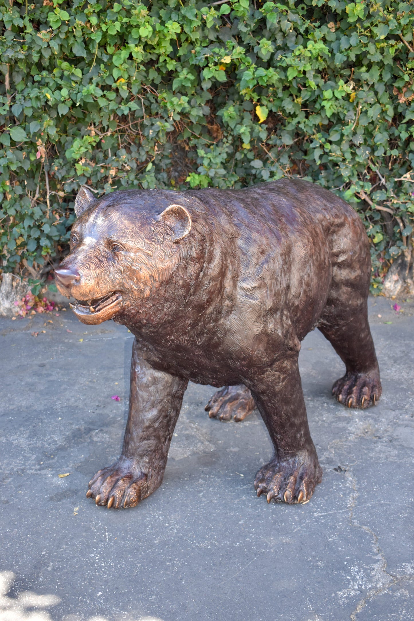 Giant Mama Bear Walking on Four Legs Bronze Statue Size: 64" x 26" x 43"H