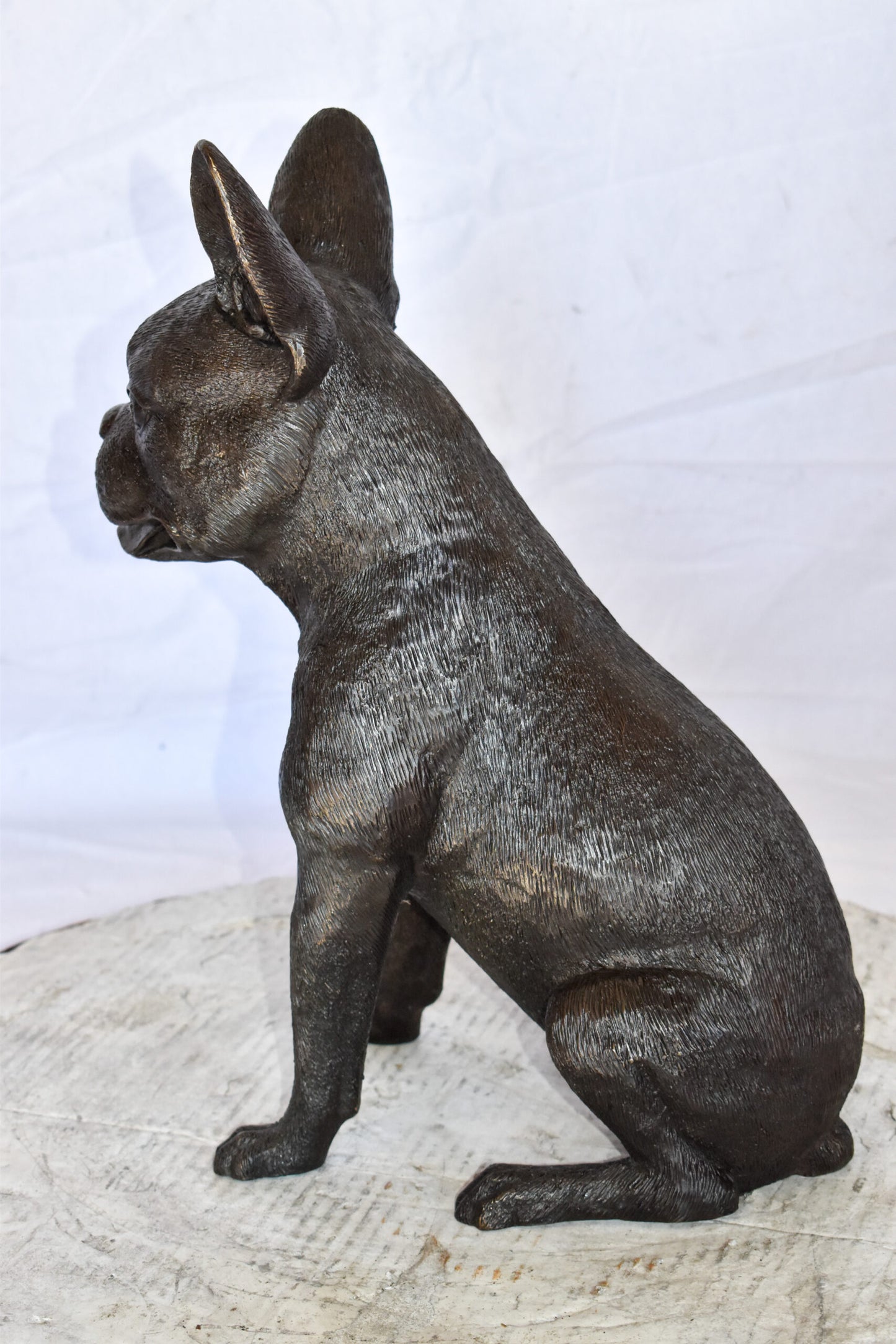 Boston Terrier Dog Happily Sitting Bronze Statue Size: 7" x 13" x 17"H