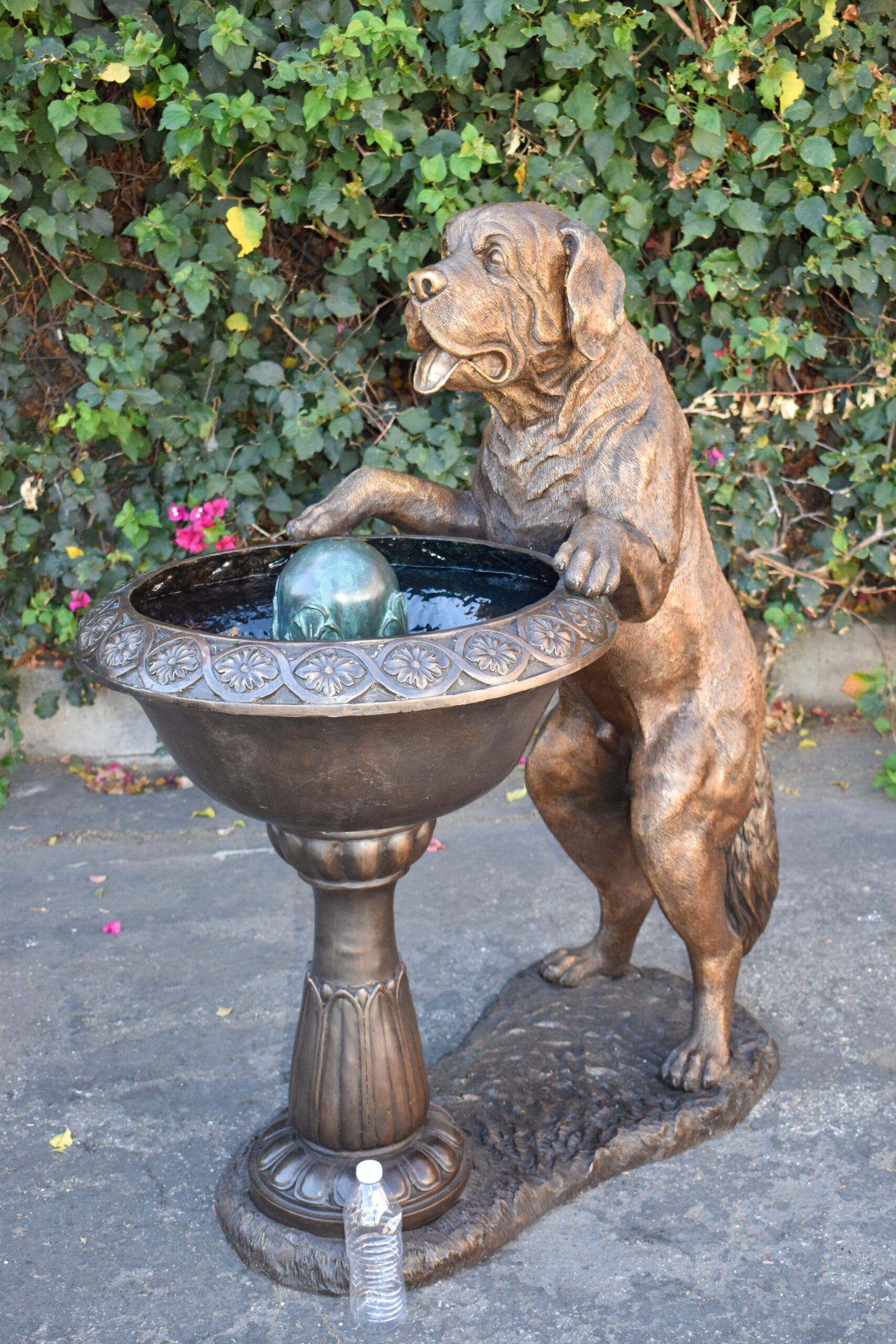 San Bernard Dog Drinking from A Water Fountain Bronze Statue 43" x 25" x 50"H