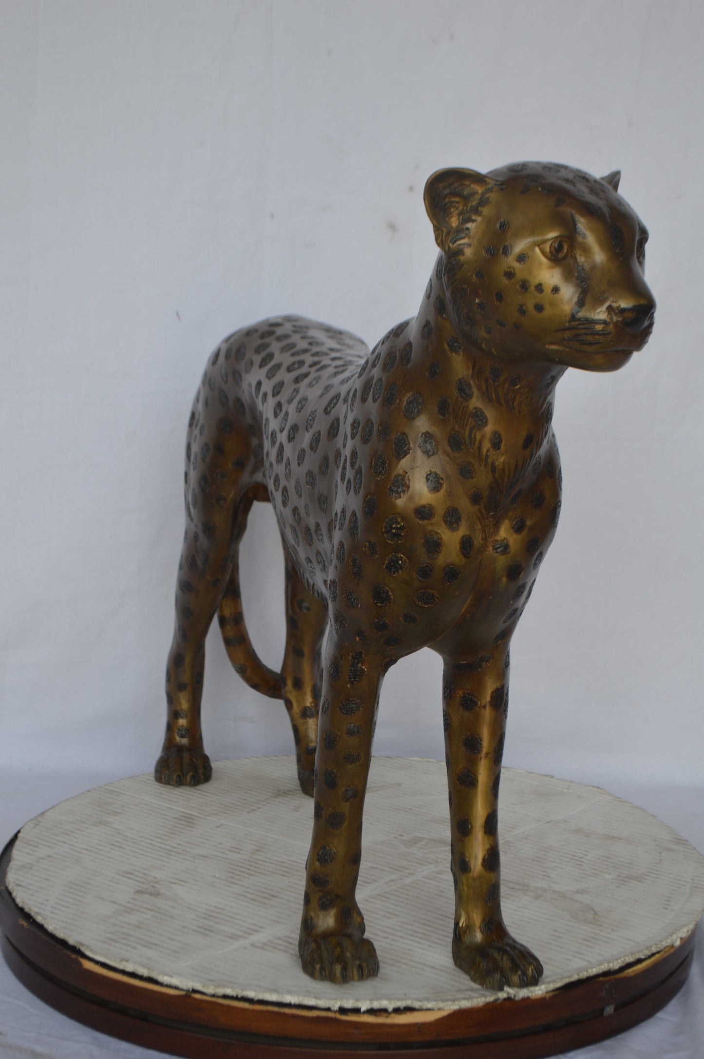 Baby Cheetah, Cub, Bronze Statue - Size: 30"L x 10"W x 25"H.